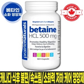 삭제예정2