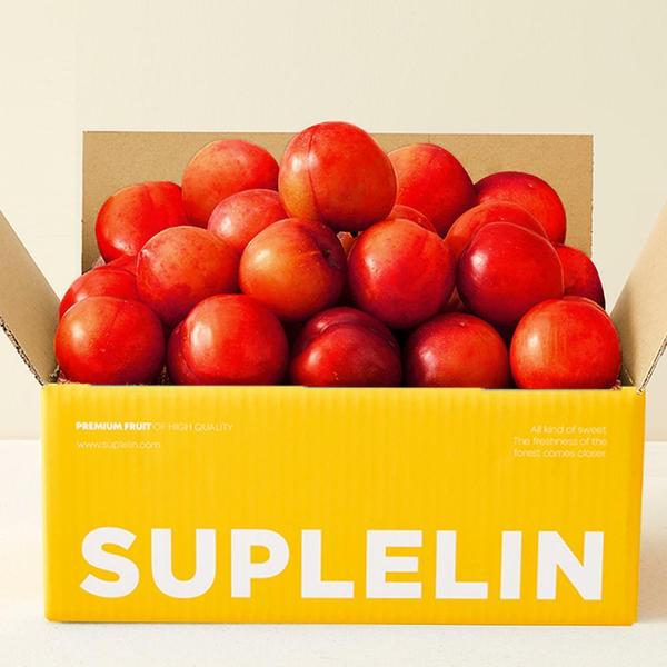 [수플린] 자연이 키운 실속형 노지 자두 1kg (20~25과/소과)