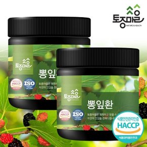 HACCP인증 국산 뽕잎환 300g X 2개