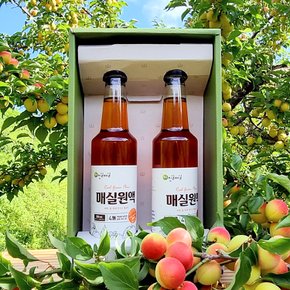 [광양진실매실] 진실매실 매실원액 선물세트(500ml x 2병)