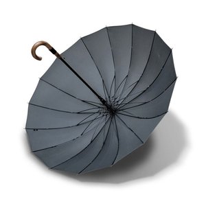  [각인] 우산살 16개의 자동 장우산 mnq