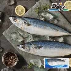 [냉동][맛딜]제주직송 맛있고 간편한 손질 고등어살 5팩_국내산