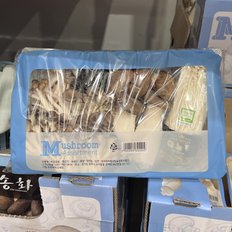 글로벌푸드 코스트코 모듬 버섯 800g
