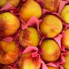 국내산 황도 복숭아 달콤한 여름 과일 1kg