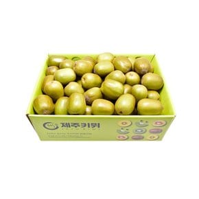 제주 레드키위 벌크 5kg