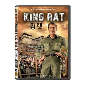 DVD - 킹랫 KING RAT