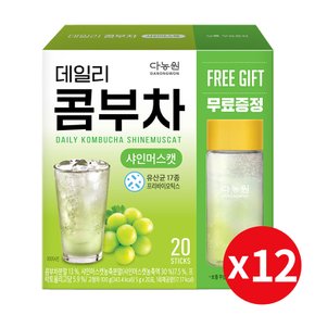 데일리 콤부차 샤인머스캣 20T(보틀포함) x12개 /17시마감/빠른발송/무료배송