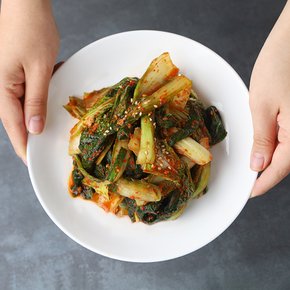 전라도 전통식품 인증 김치 얼갈이겉절이 2kg /HACCP인증 당일제조 100% 국산김치