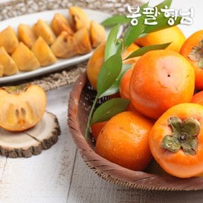 햇 단감 차량단감 5kg (31-35과) 전라도 산지농장