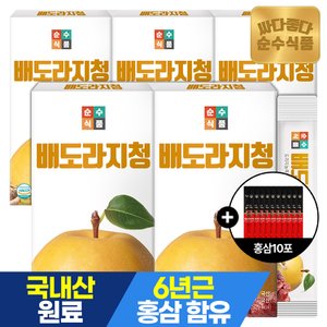 순수식품 [+홍삼10포] 배도라지청 스틱 5박스(150포) / 생강 도라지배즙 배도라지즙 도라지배청