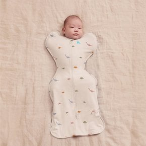 오리지널 공룡 신생아 속싸개 모로반사 사계절 출산선물