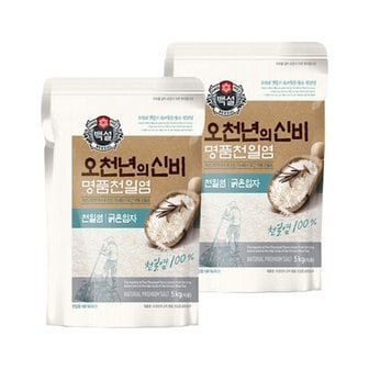  백설 명품 천일염 오천년의 신비 굵은입자 소금 5kg x2개