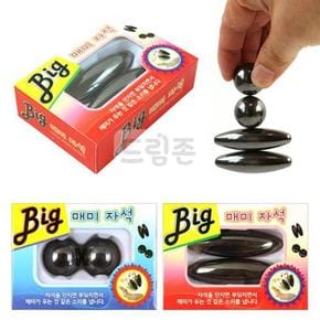 빅 매미 자석 소리나는 자석놀이