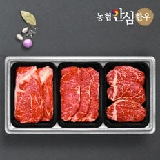 [냉장][농협안심한우] 1등급 감사로스세트 (꽃등심+채끝+안심)/팩당400g/총 1.2kg