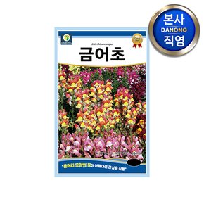 금어초 씨앗 500립 . 용머리모양 스냅드래곤 봄 가을 파종 혼합 꽃 꽃씨 종자