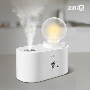 ZQ-HM600L LED 무드등가습기 무선 미니가습기 2단계가습량 무드등조절 C타입전원