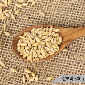 올블루 건강알곡 겉보리 500g 앵무새 햄스터 모이 간식 사료