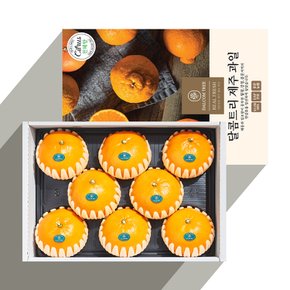 [산지직송] 고당도 천혜향 3kg (10-15과)