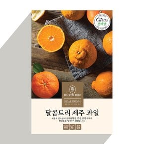 [산지직송] 고당도 천혜향 3kg (10-15과)