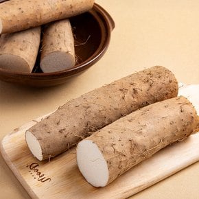 [더조은] 신선한 국내산 장마 1kg 상품