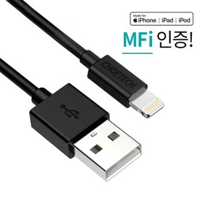 N 초텍 MFi인증 USB A to 라이트닝 8핀 케이블