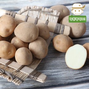 포근포근 분나는 국내산 햇 고향감자(중) 3kg