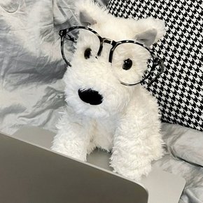 뽀송 강아지인형 20cm 동물 애착인형 인테리어 장식