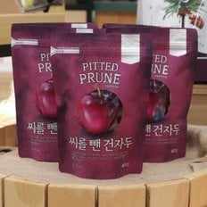 미동농산 씨를뺀건자두(미국산) 400g