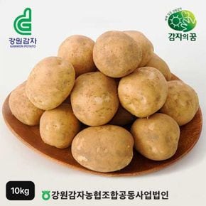 강원특별자치도 특등급 햇 감자 10kg[34633322]