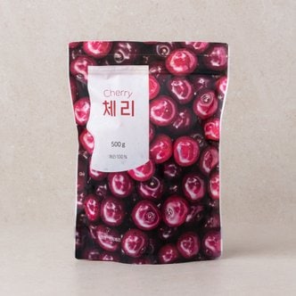 웰팜 [칠레산] 냉동 체리 500g