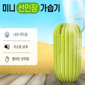 선인장 무드등 가습기 USB 미니가습기