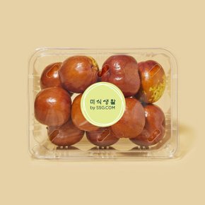 SSG 김춘식 보은사과대추 500g/팩