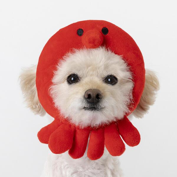 확대된 대표 IMAGE1