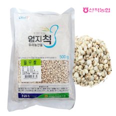 엄지척잡곡 율무500gx2팩(1kg)