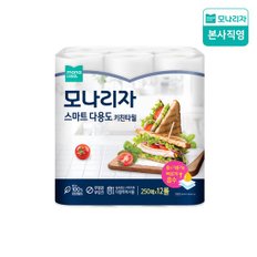 스마트 다용도 키친타월 250매*12롤 1팩