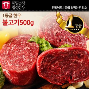 전라도 청정한우 1등급 불고기 500g