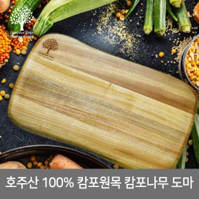 100% 호주산 청정원목 캄포나무 도마 / 원목도마 나무도마 도마 주방용품