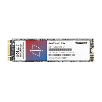 아이코다 타무즈 GKM330 M.2 2280 SSD (512GB)