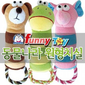 동물나라 원형치실(색상 임의배송)