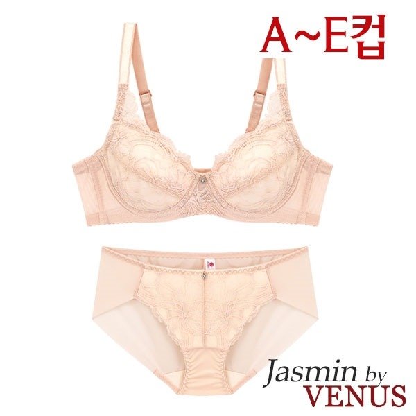 확대된 대표 1