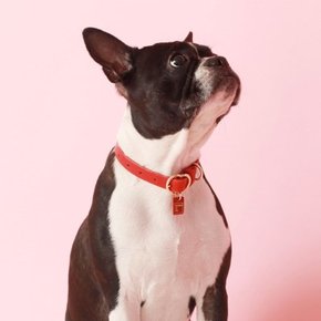 Heart Pendant Collar_Red