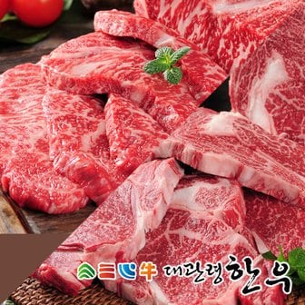 대관령한우  [냉장][대관령한우] 1등급 등심/채끝 각400g(800g)