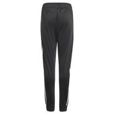 SST TRACKPANTS(GN8453)