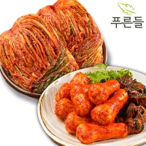 양념한가득 남도식 포기김치 1kg + 총각김치 1kg