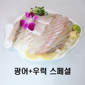 [광어+우럭] 스페셜 활어 모듬회 + 6종양념
