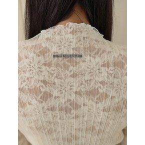 Sheer Pleated Mesh High Neck Top_Beige