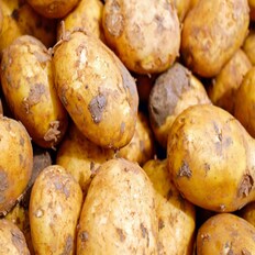 감자 국내산 깐감자 카레 찌개용 700g  당일생산(냉동X) 간편야채 손질야채