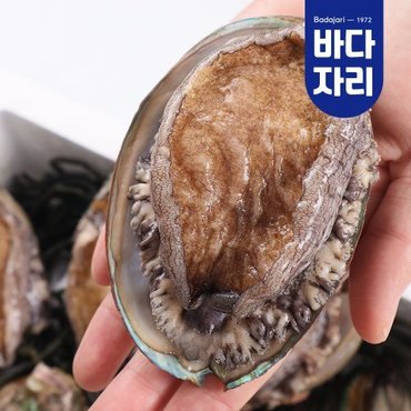 바다자리 [산지직송] 완도 활전복 30-40미 1kg 산소포장