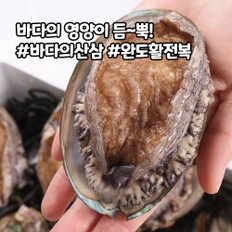 [산지직송] 완도 활전복 30-40미 1kg 산소포장