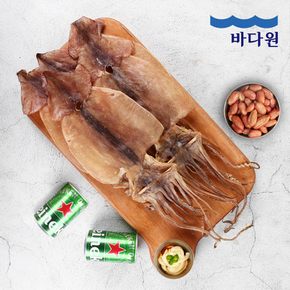 [G]바다원 동해안 마른오징어 5미 (300g) 국내산